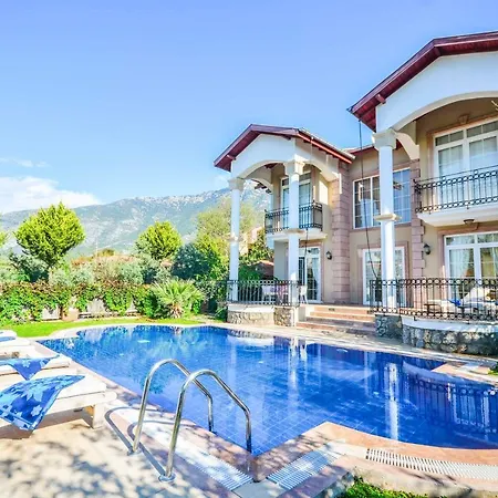 Pegasus Evi *