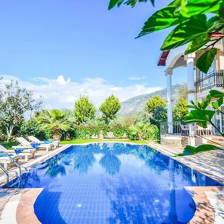 Pegasus Evi Villa